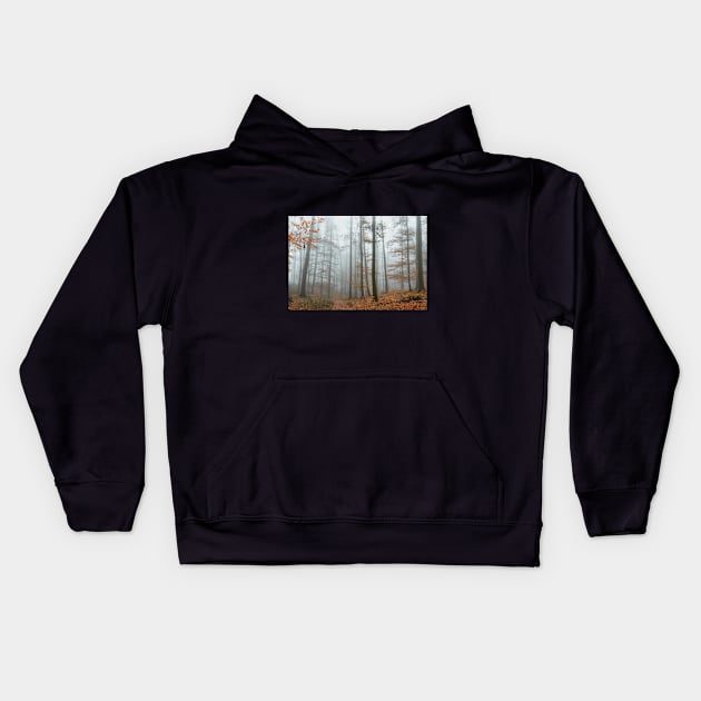 Autumn Mood, Forest with Fog. Kids Hoodie by Salogwyn